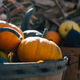 Illustration for article titled Win $150 to Spend on Various Autumnal Delights